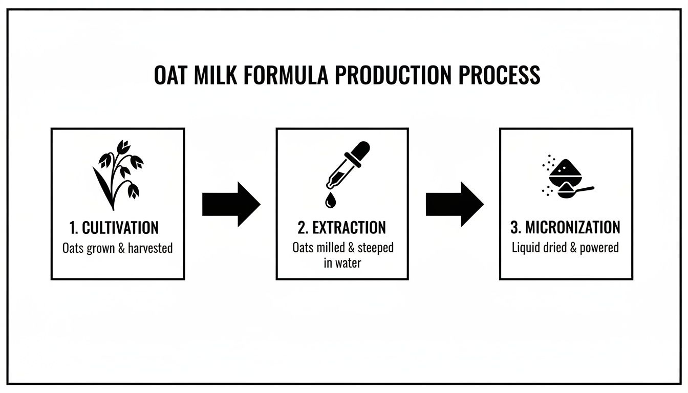 A diagram showing the 3-step oat milk formula production process: cultivation, extraction, and micronization.